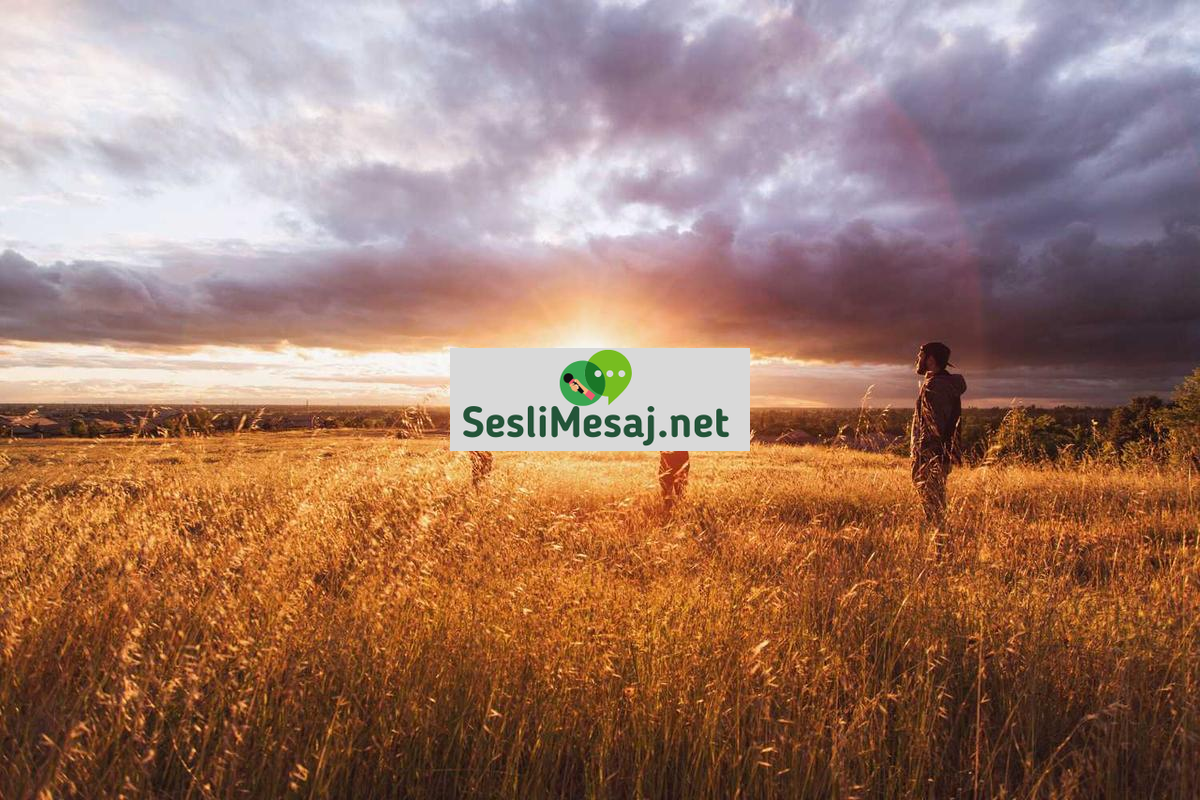 Kişisel Gelişim Kitapları Eleştirisi Sohbeti: Gerçekçi Yaklaşım