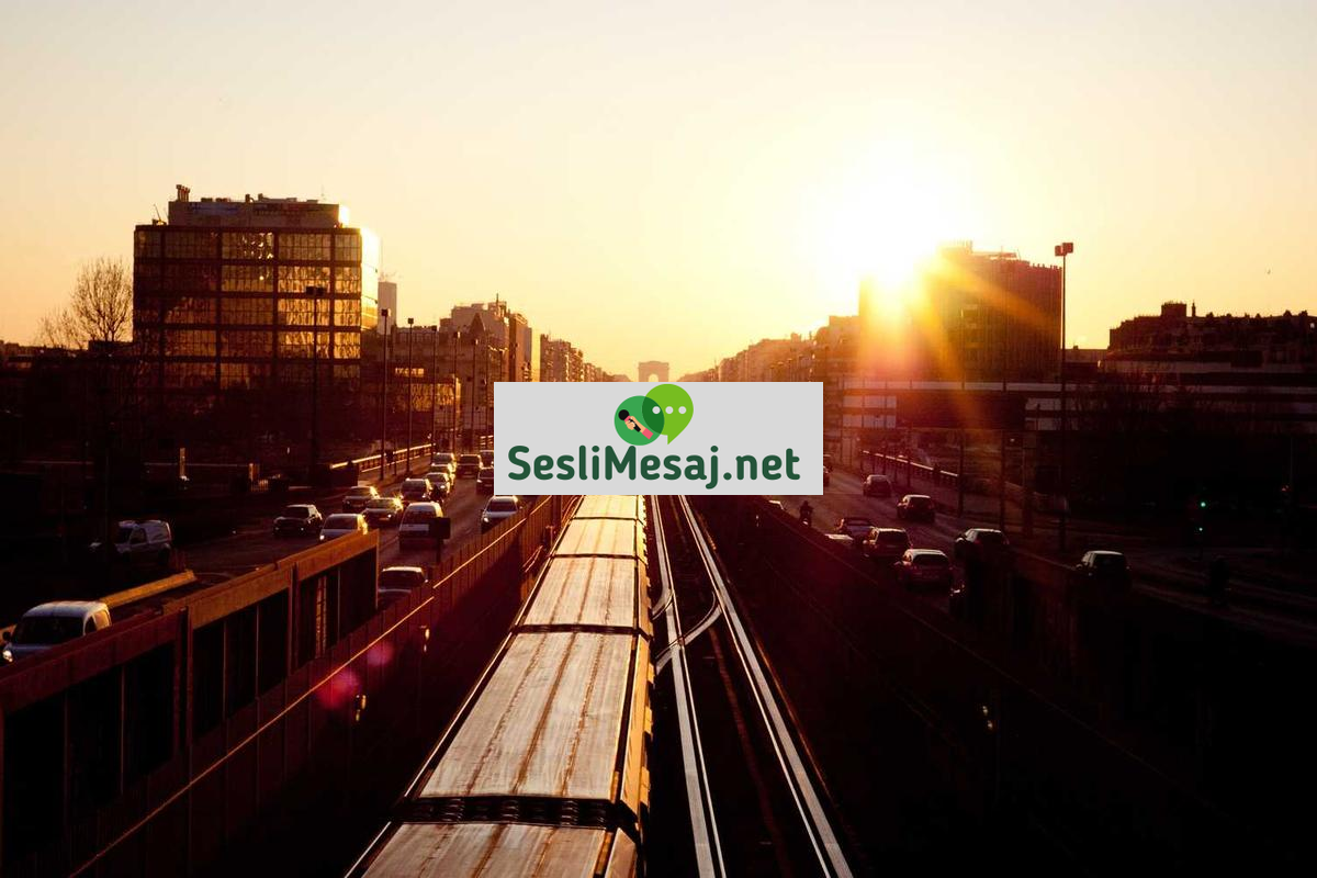 Kişisel Gelişim Koçluğu Eğitimi Sohbeti: Sertifika Programları