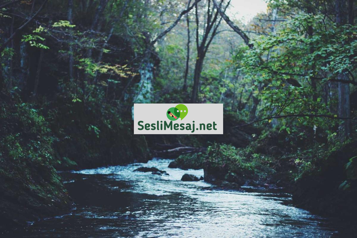 Kişiye Özel Beslenme Sohbeti: Genetik ve Diyet