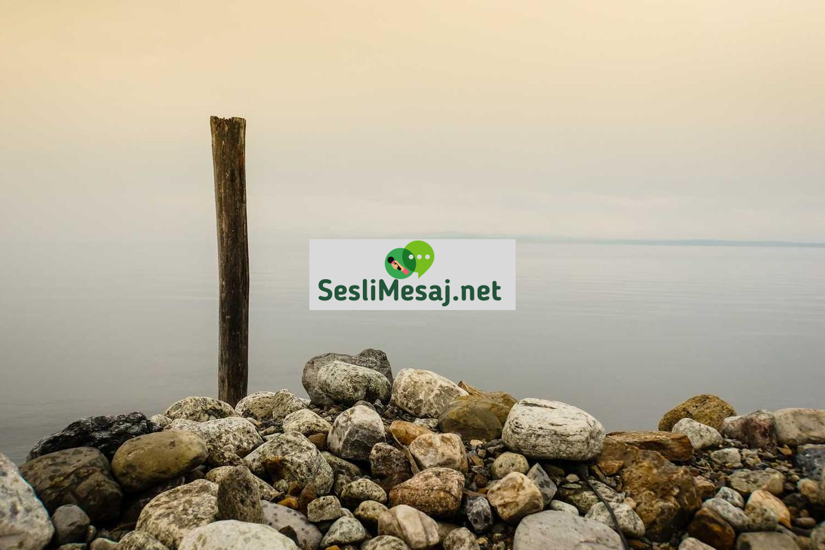 Kilo Verme Sohbeti: Başarı Hikayeleri ve Destek Grupları