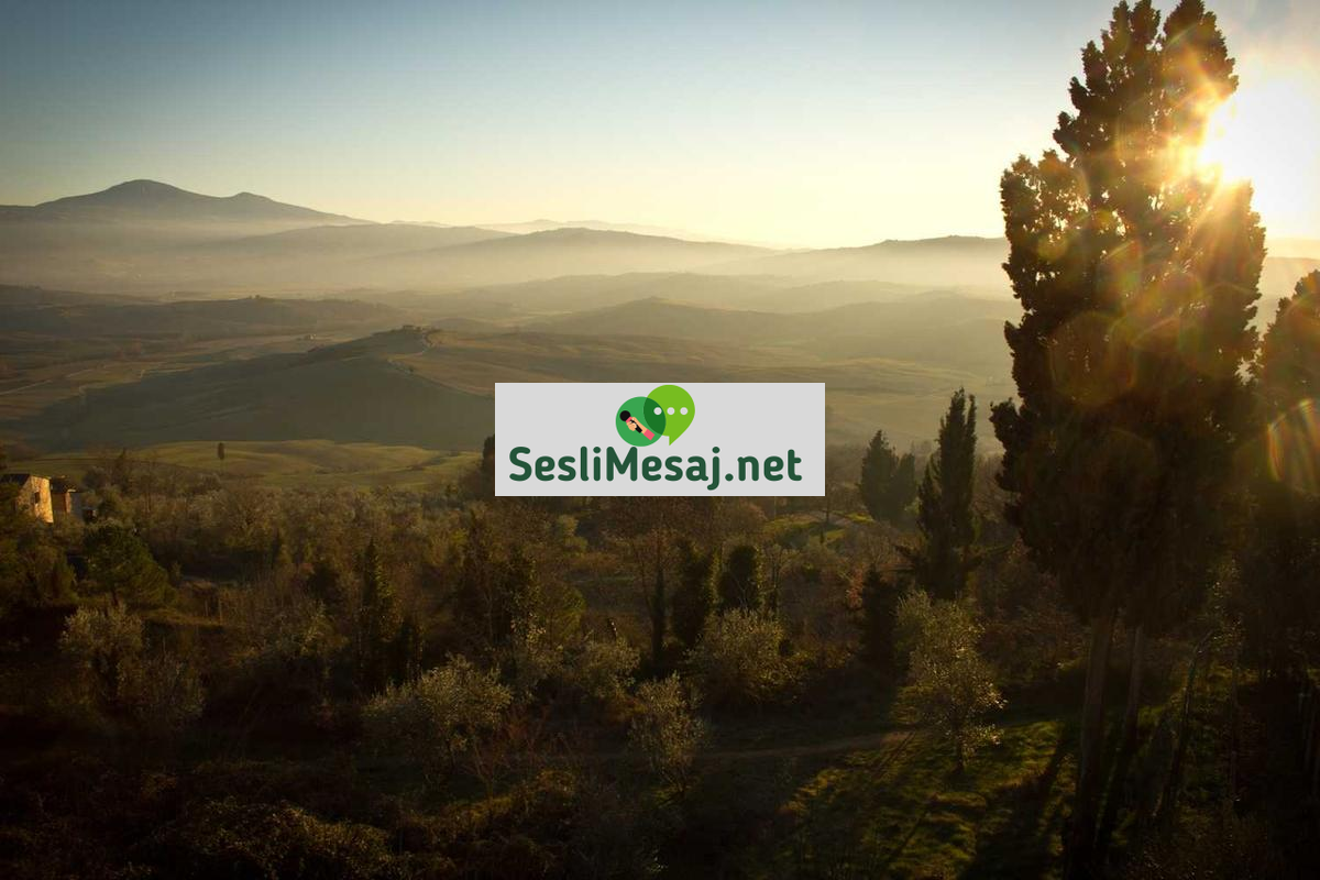 İklim Aktivizmi Sohbeti: Çevre Hareketi ve İletişim