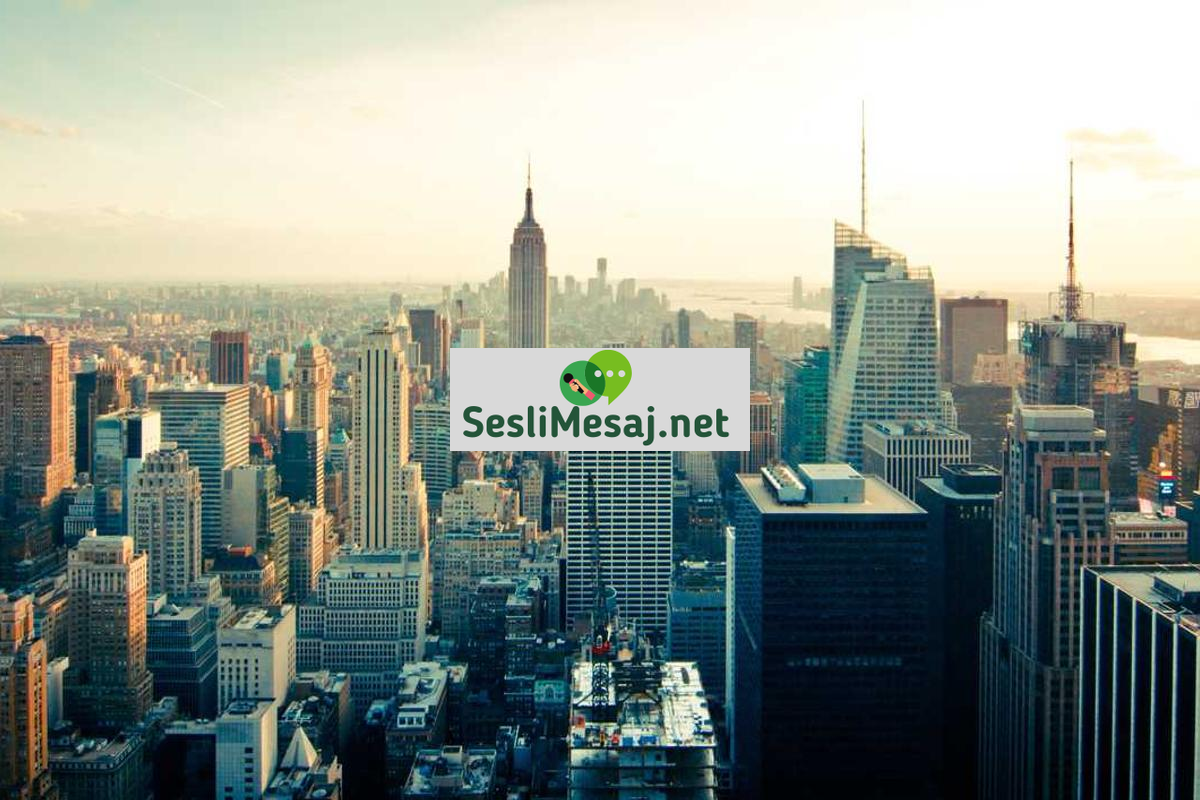 Kripto Para ve Gelecek Tahminleri Sohbeti: Trend