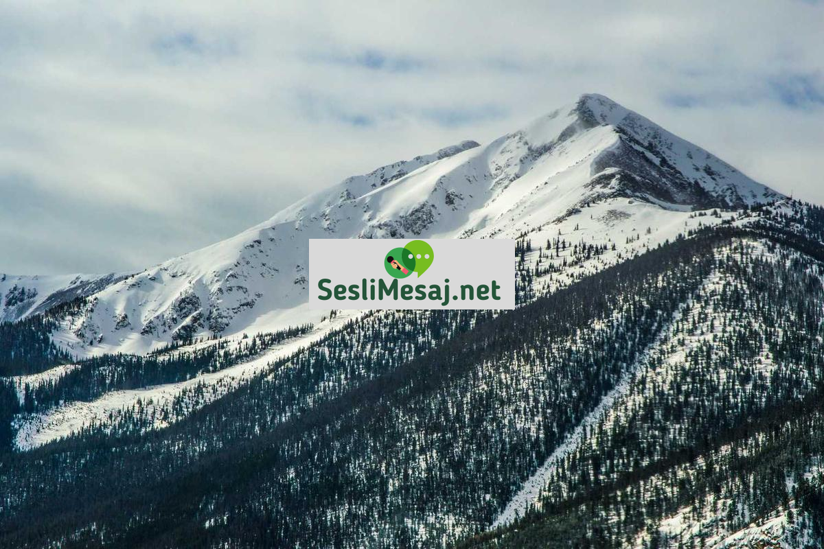 Kripto Para ve Gelecek Tahminleri Sohbeti: Trend