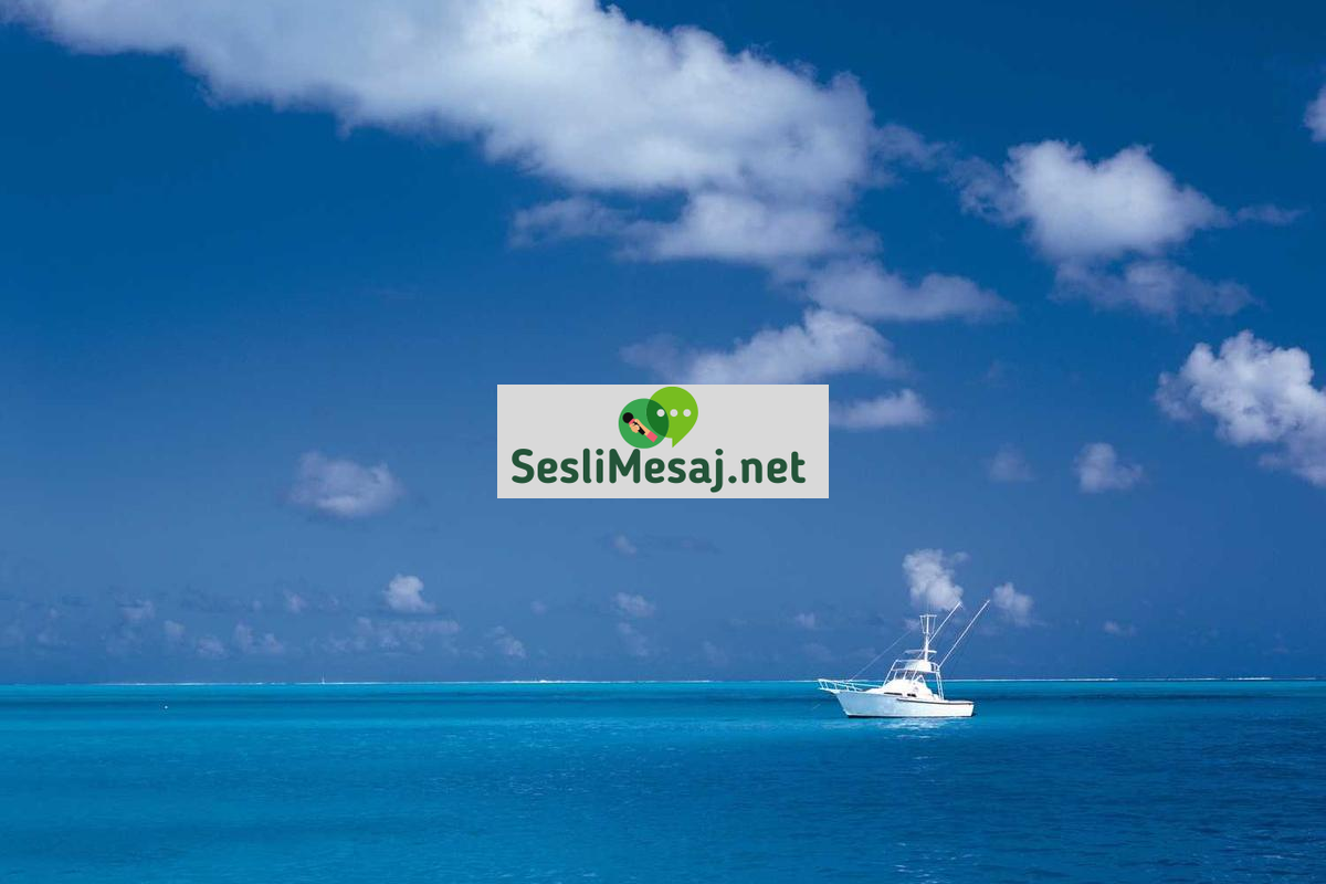 Kripto Para ve Gelecek Tahminleri Sohbeti: Trend