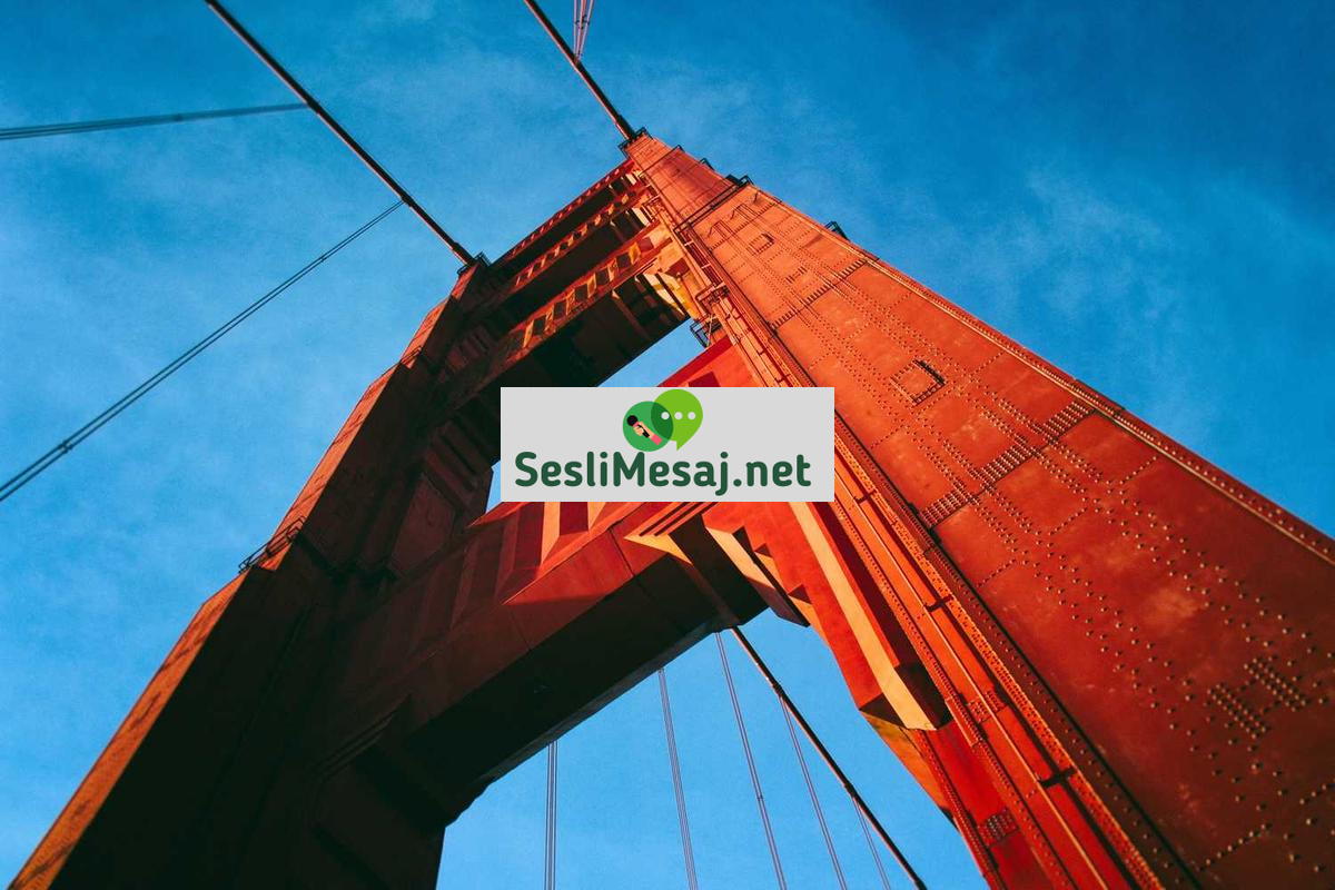 Kripto Para ve Gelecek Tahminleri Sohbeti: Trend