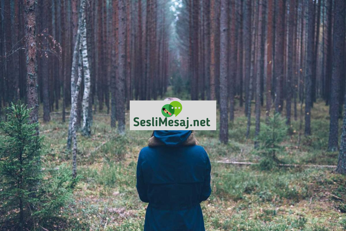 Kripto Para ve Gelecek Tahminleri Sohbeti: Trend