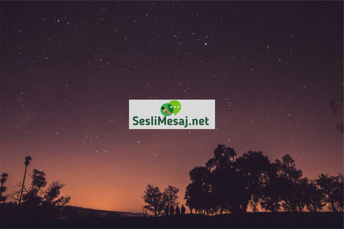 Kripto Para ve Gelecek Tahminleri Sohbeti: Trend