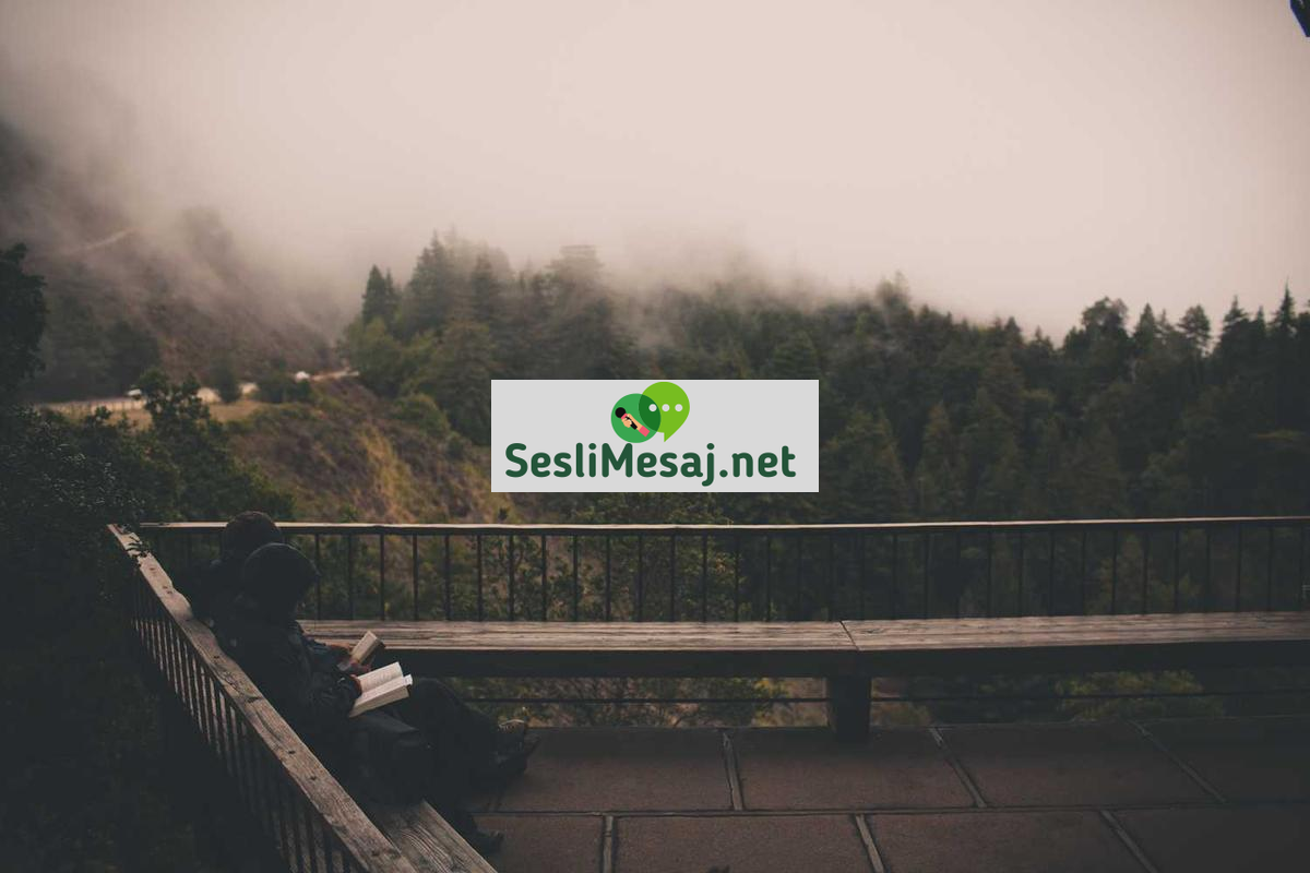 Kripto Vergi Sohbeti: Dijital Varlıkların Vergilendirilmesi