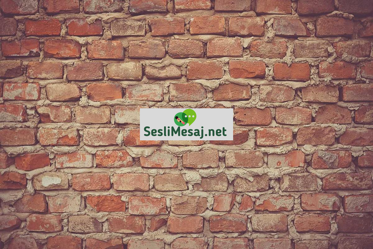 Kısa Film Çekiminde Ekip Yönetimi Sohbeti: Liderlik