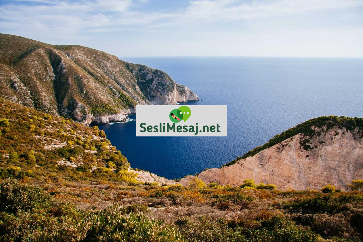 Kısa Film Çekiminde Görsel Yönetmenlik Sohbeti: Estetik