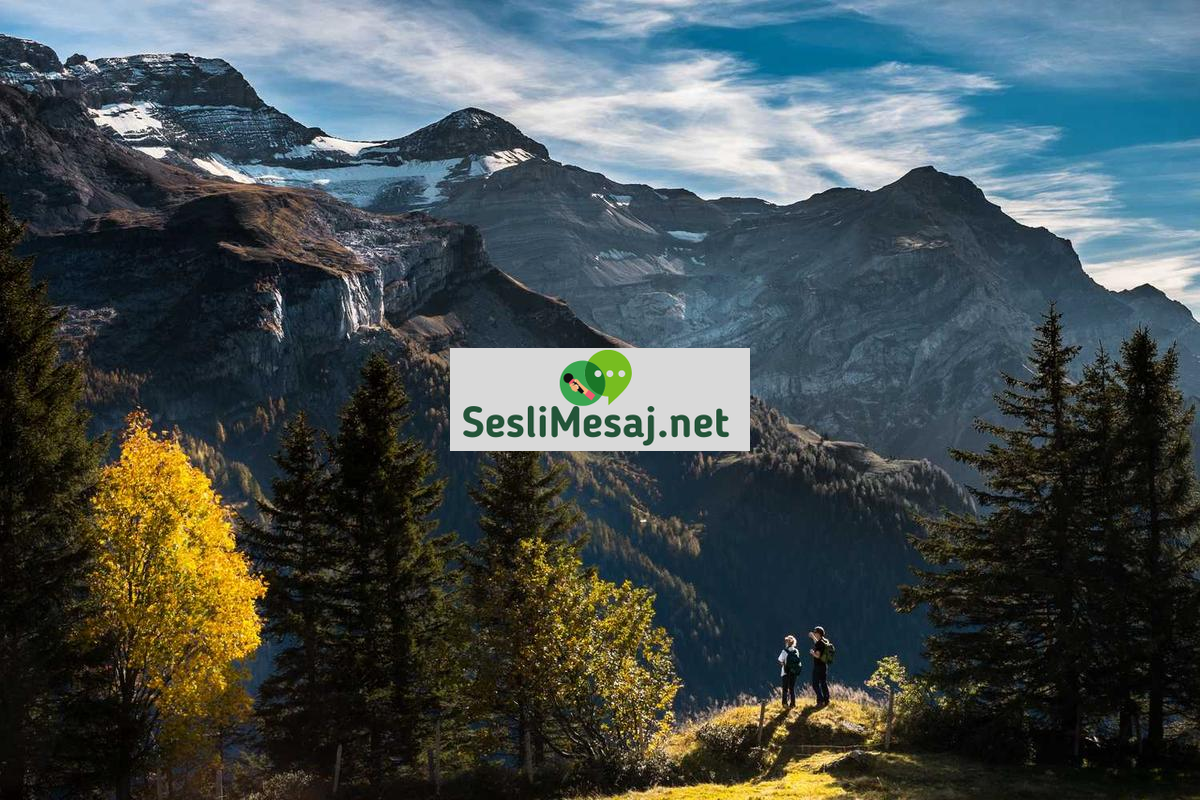 Kısa Film Çekiminde Görsel Yönetmenlik Sohbeti: Estetik