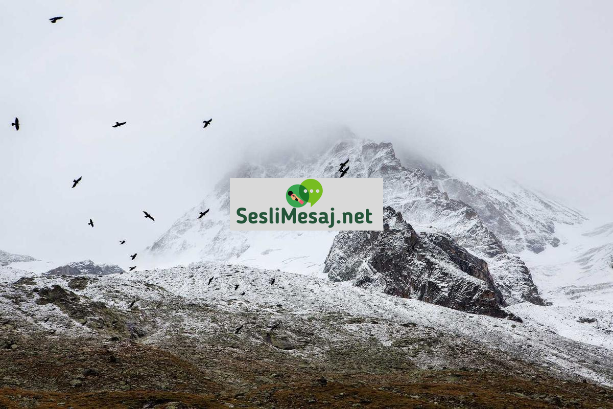 Kısa Film Çekiminde Görsel Yönetmenlik Sohbeti: Estetik