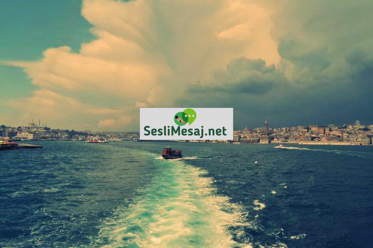 İlişki Arayan Chat: Partner Bulma Sürecinde İpuçları