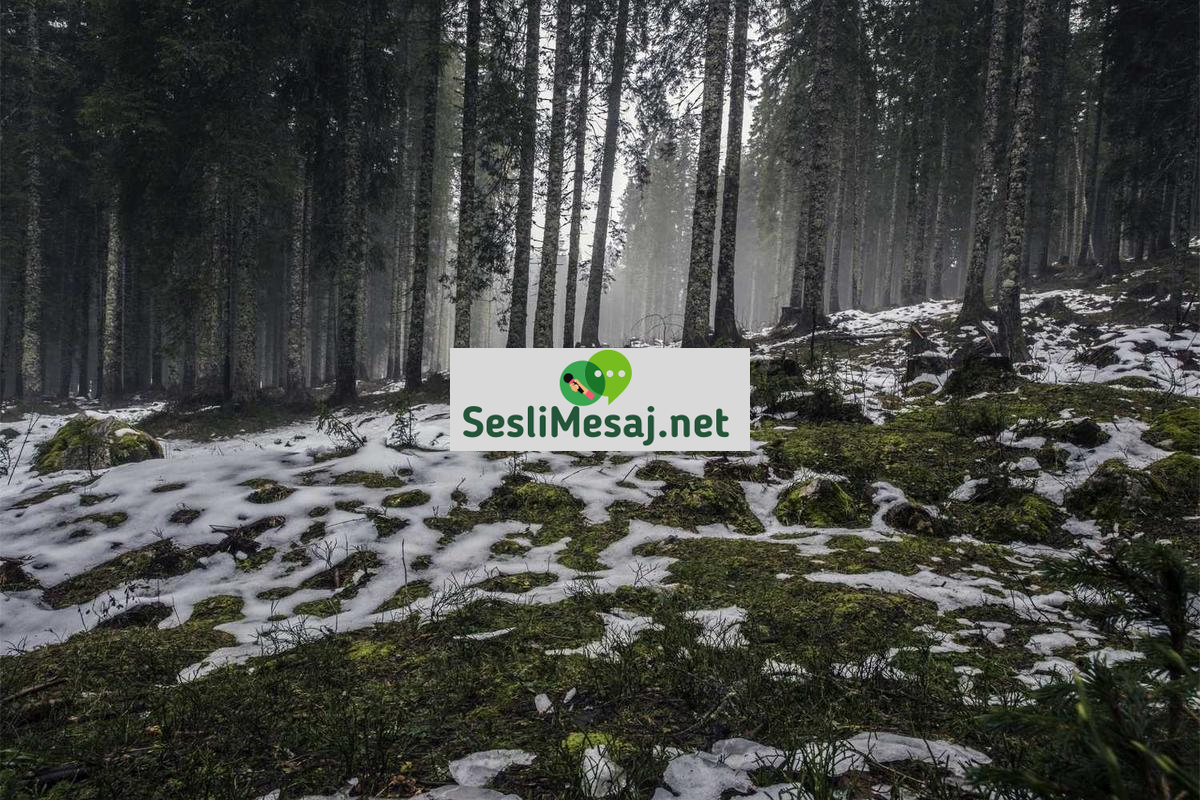 Ölümden Sonra Yaşam Sohbeti: Farklı İnançlarda Ahiret