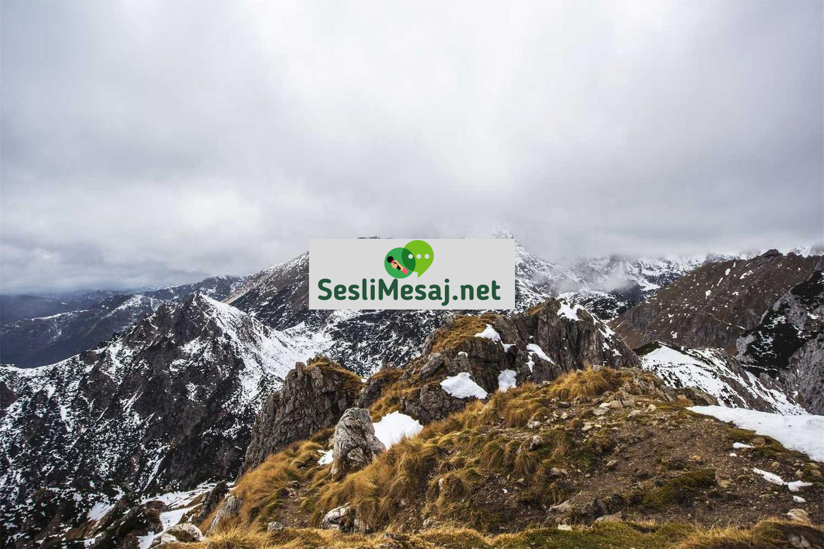 Mahalle Sohbeti: Komşuluk İlişkilerini Dijitalde Canlandırma