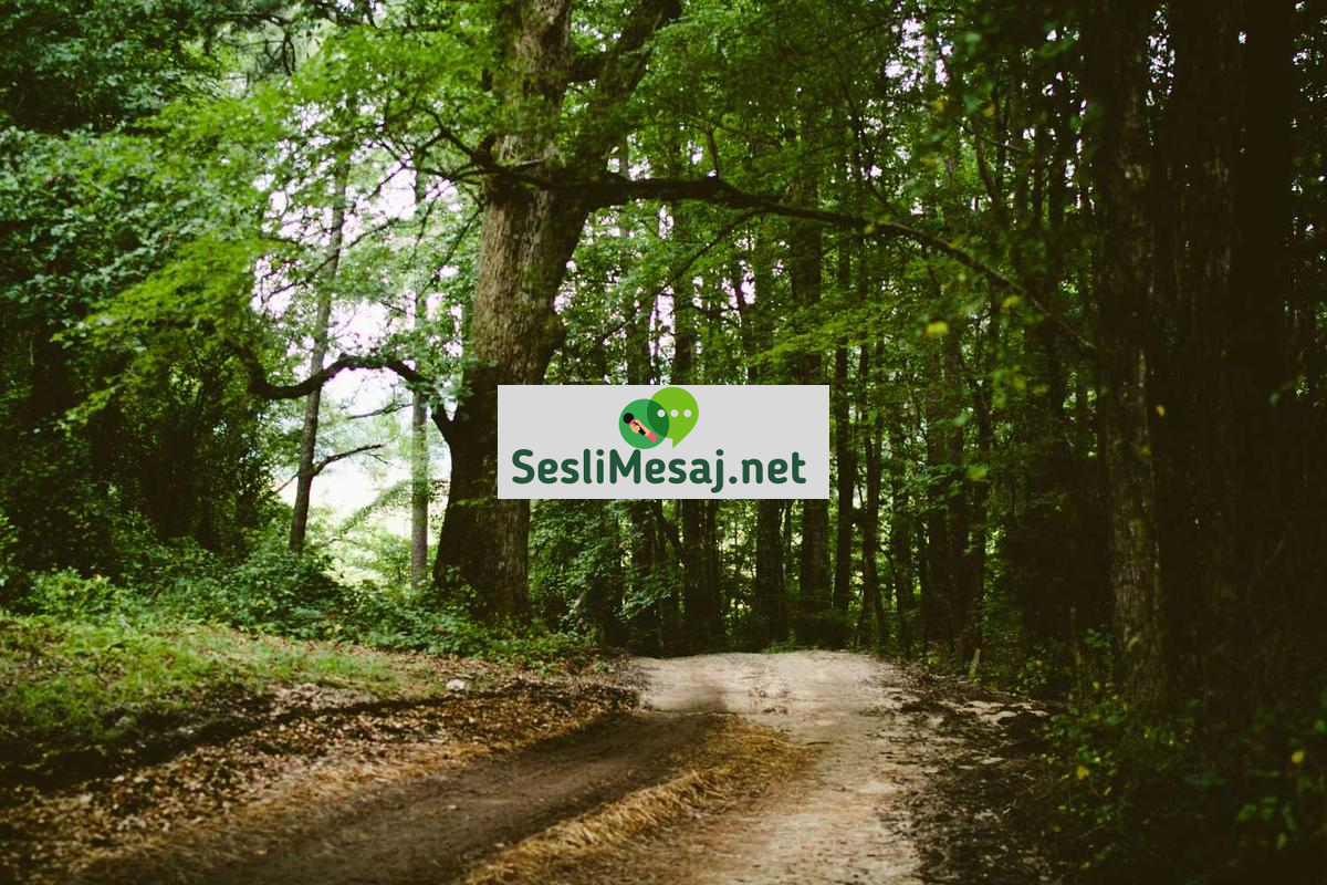 Mahalle Sohbeti: Komşuluk İlişkilerini Dijitalde Canlandırma