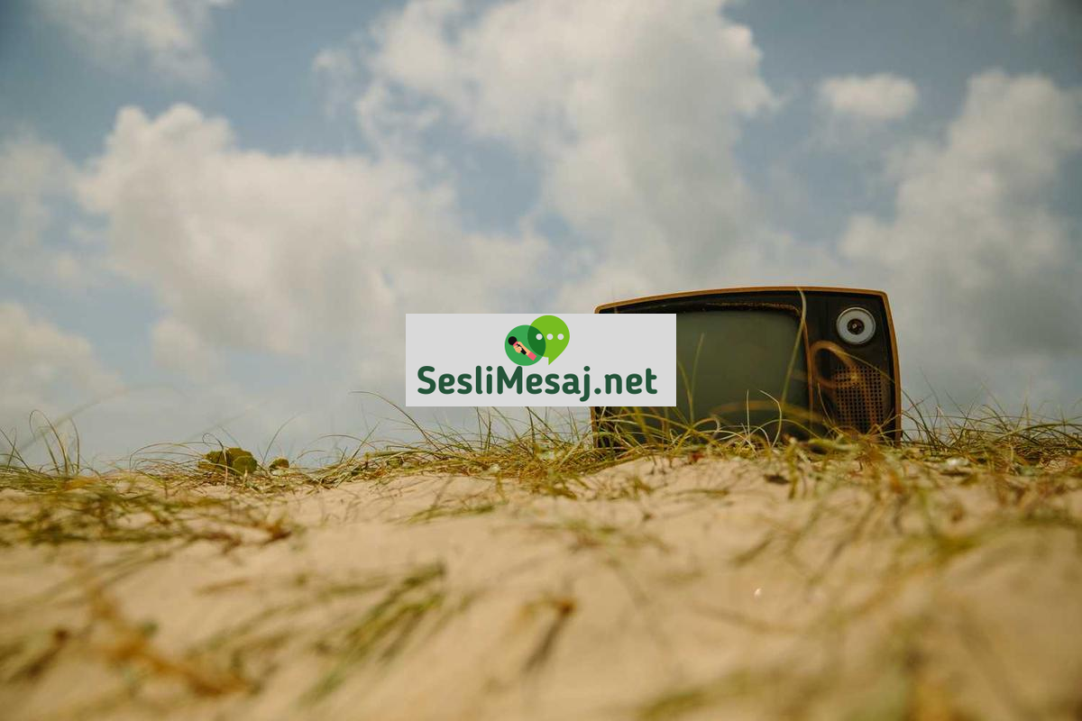 Manevi Gelişimde Kitap Önerileri Sohbeti: Okuma