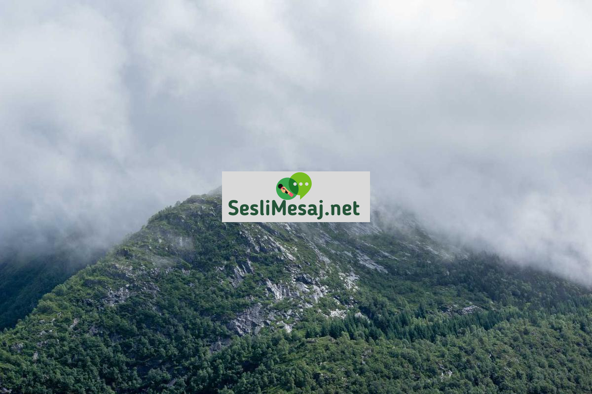 Manevi Gelişimde Kitap Önerileri Sohbeti: Okuma