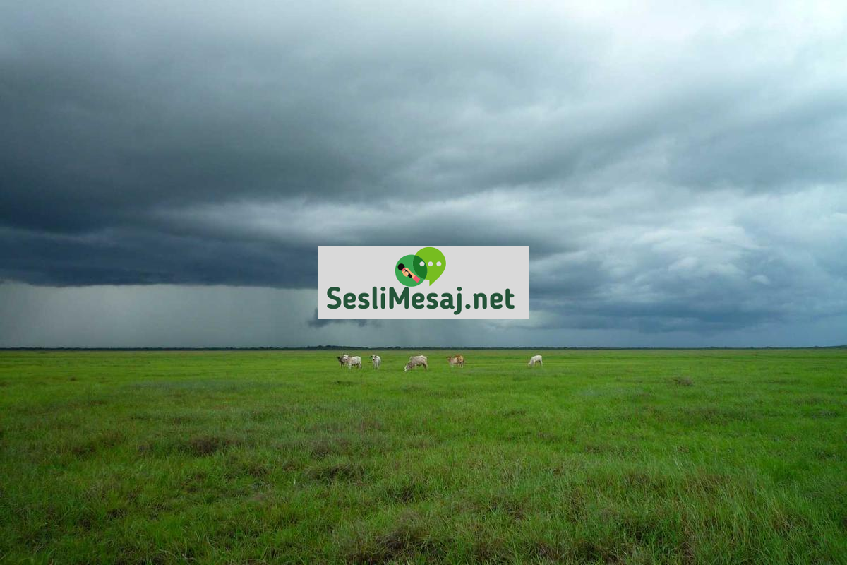 Manevi Gelişimde Kitap Önerileri Sohbeti: Okuma