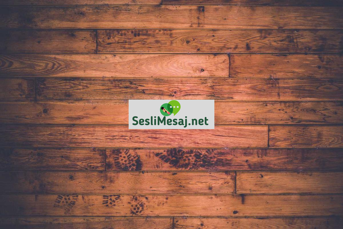 Manevi Gelişimde Kitap Önerileri Sohbeti: Okuma