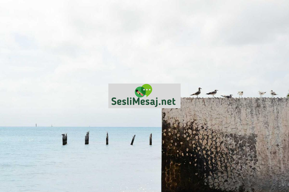 Manevi Gelişimde Okuma Listesi Sohbeti: Kitap Tavsiyeleri