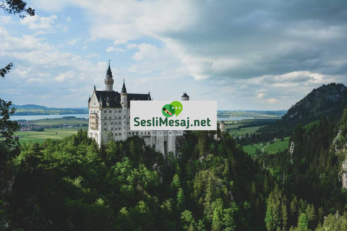 Mantık ve Eleştirel Düşünme Sohbeti: Doğru Akıl Yürütme