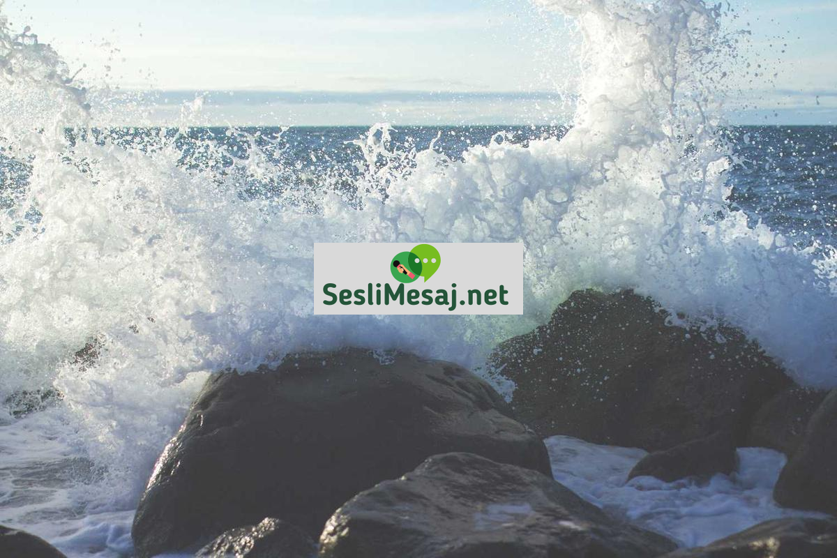 Meditasyon Teknikleri Sohbeti: Farklı Meditasyon Yolları