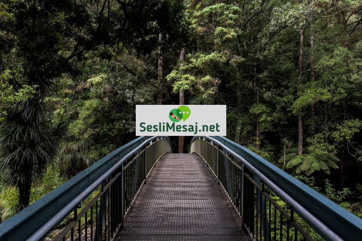 MeetMe Canlı Sohbet: MeetMe’de Anlık İletişim