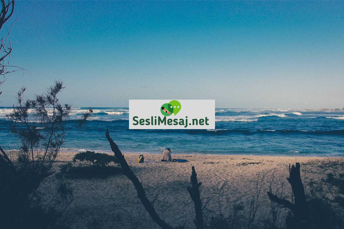 Mersin Sohbet: Akdeniz Bölgesindeki Çevrimiçi Sosyalleşme