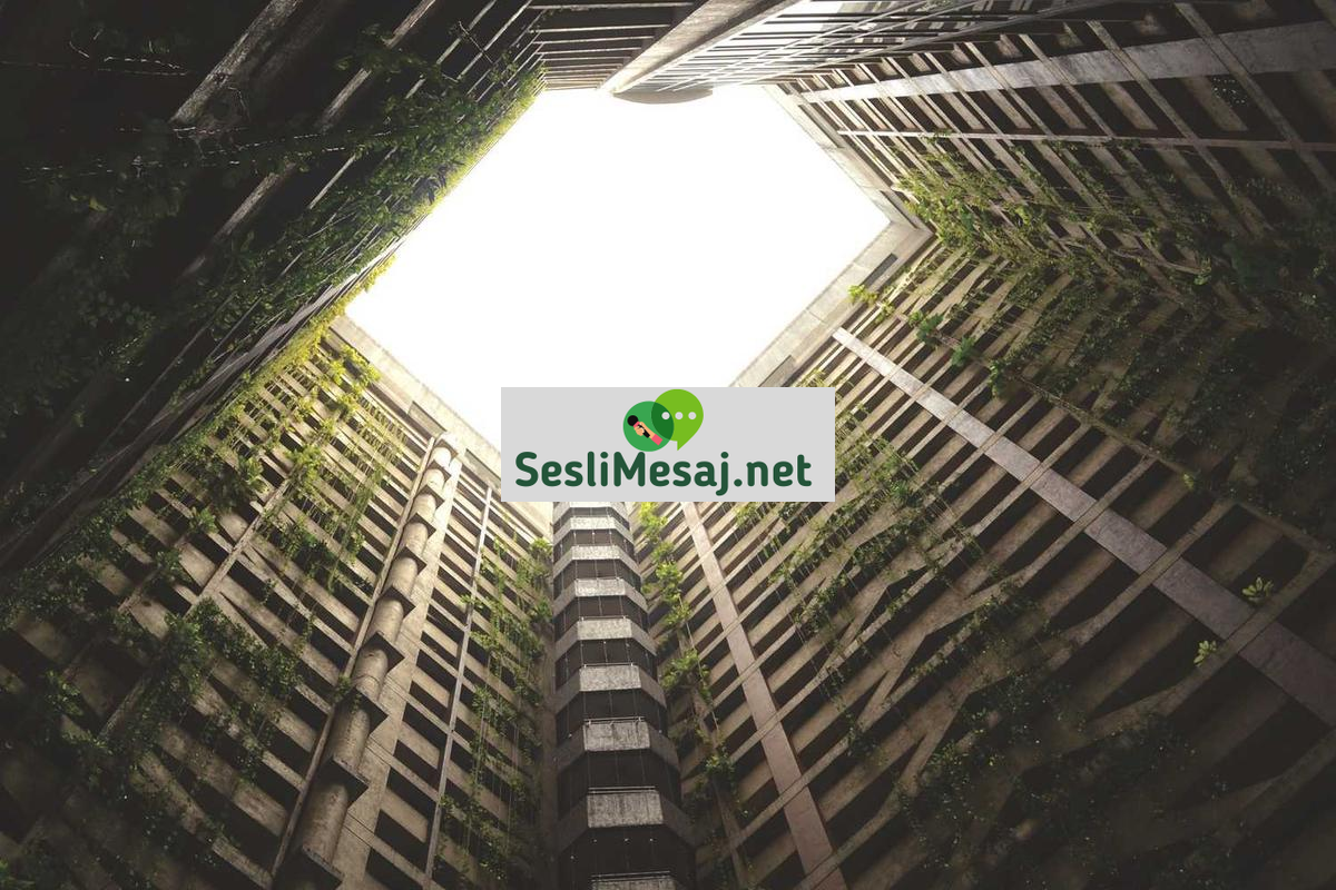 Meslek Sohbeti: Kariyer Seçimi ve İş Deneyimleri