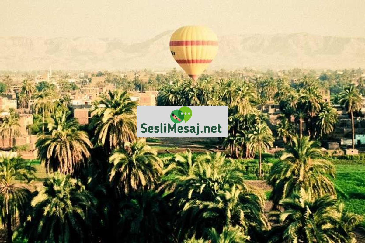 Metaverse’de Sanal Deneyim Tasarımı Sohbeti: Yaratıcılık