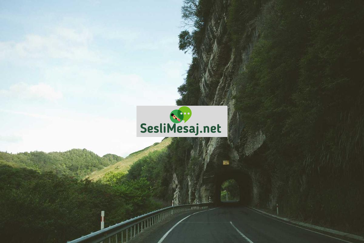 Metaverse’de Sanal Ortamda Etkileşim Sohbeti: Sosyal