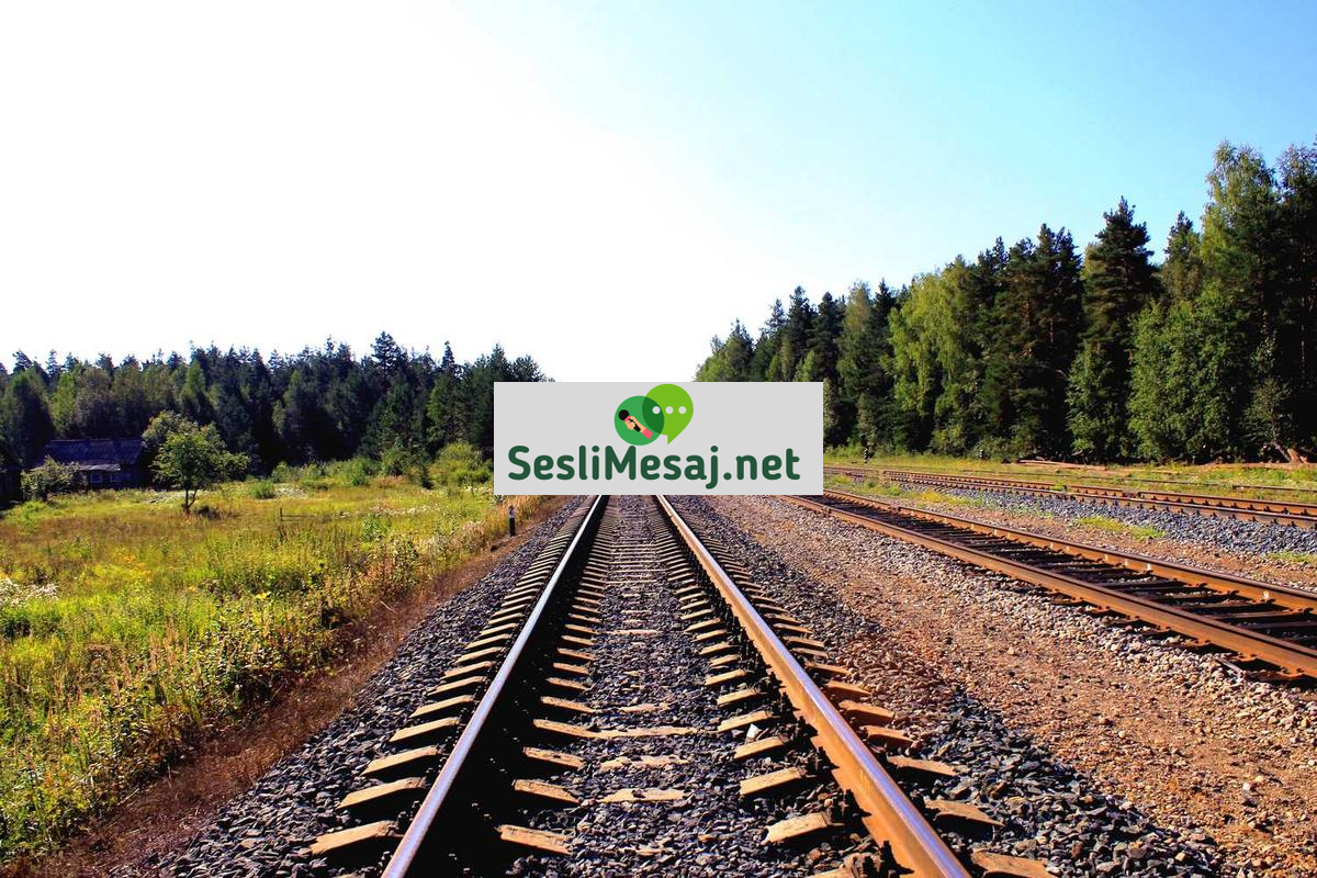 Metaverse’de Sanal Turizm Sohbeti: Gezi Deneyimi