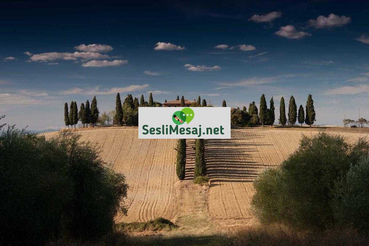 Metaverse’de Sanal Turizm Sohbeti: Gezi Deneyimi