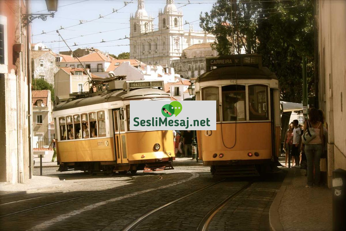 Metaverse’de Sanal Turizm Sohbeti: Gezi Deneyimi