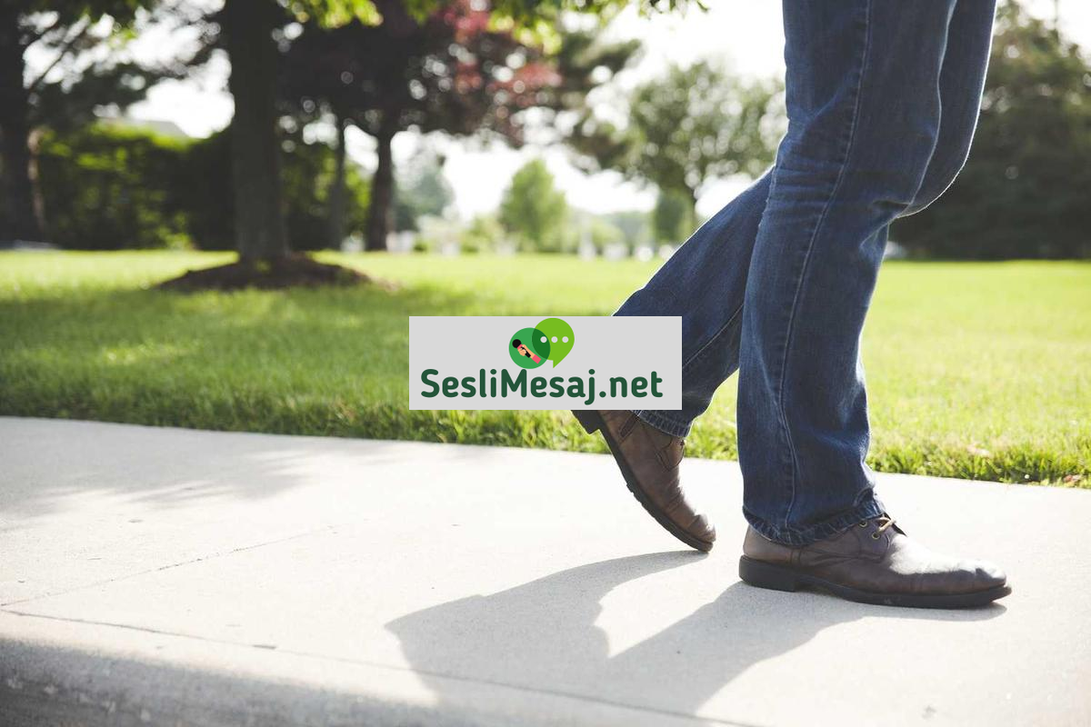 Metaverse Sanal Gayrimenkul Sohbeti: Dijital Arazi Yatırımı