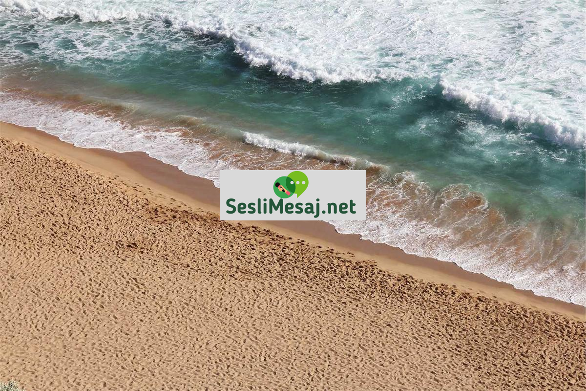 Metaverse Sanat Galerileri Sohbeti: Dijital Sanat Sergileri