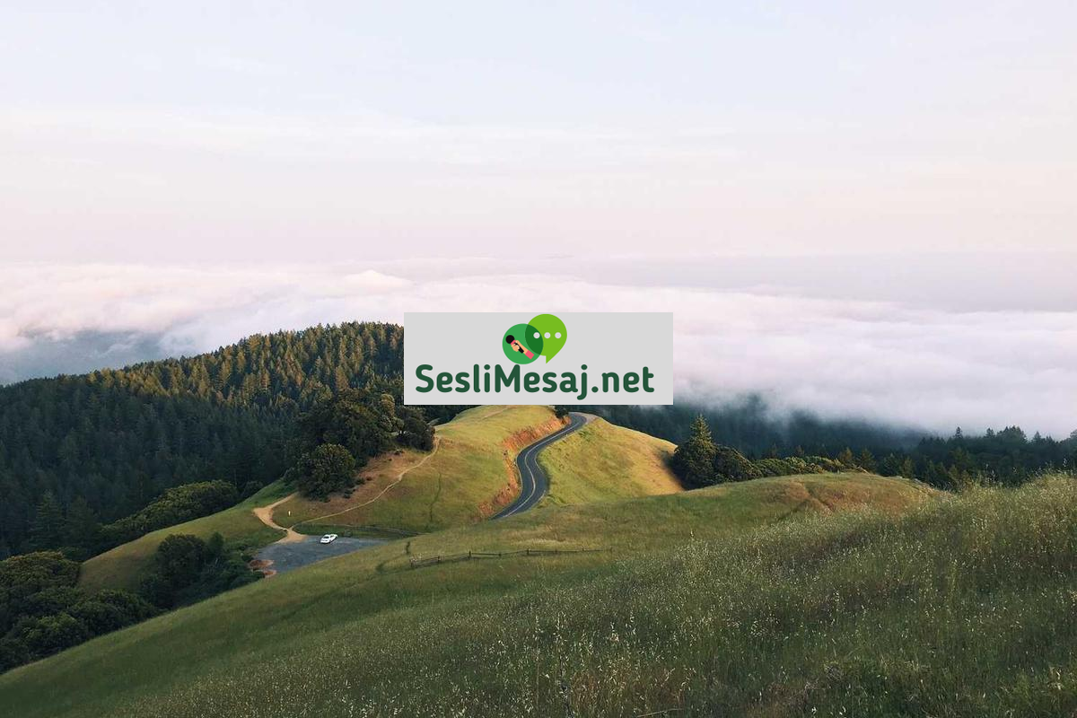 Metaverse Sanat Galerileri Sohbeti: Dijital Sanat Sergileri