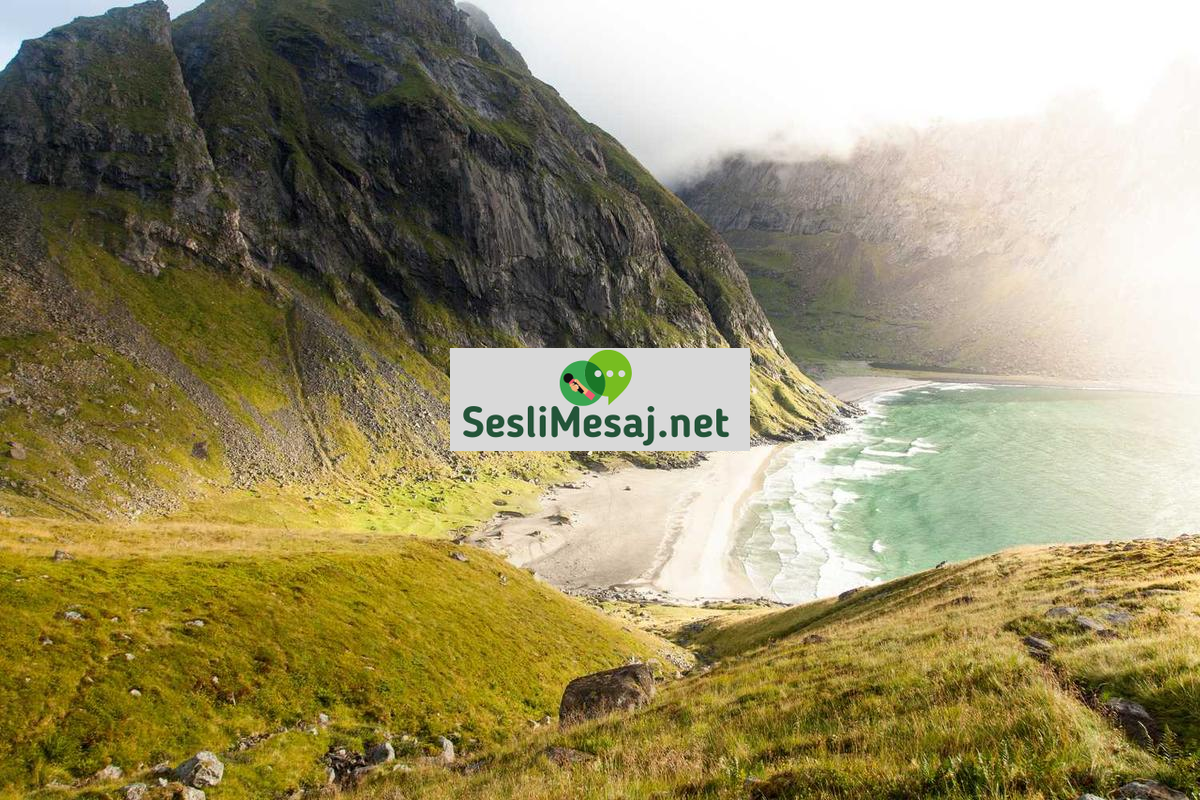 Metaverse Sanat Galerileri Sohbeti: Dijital Sanat Sergileri