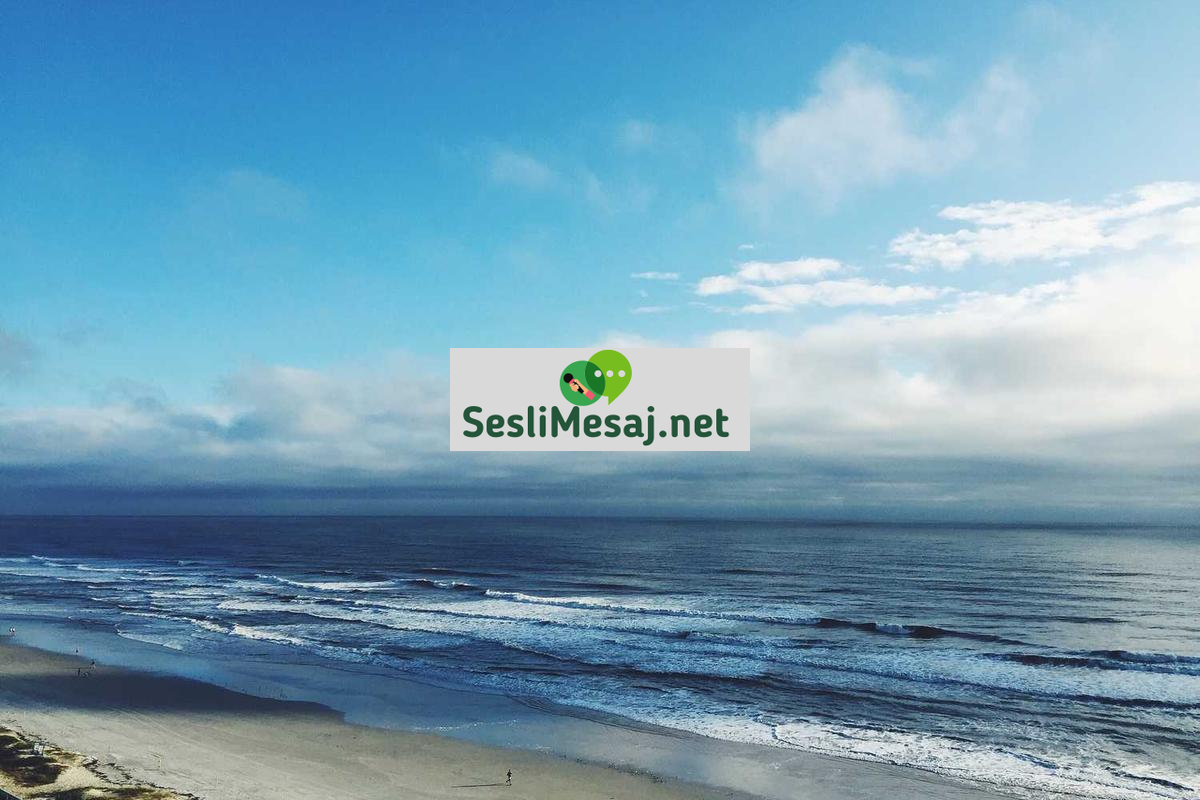 Miksoloji Sohbeti: Kokteyl Hazırlama Sanatı