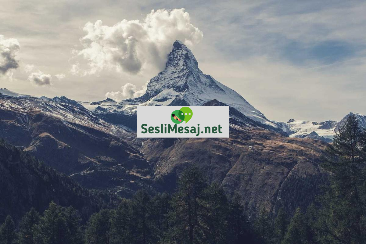 Mimarlık Sohbeti: Şehir Estetiği ve Yapı Sanatı