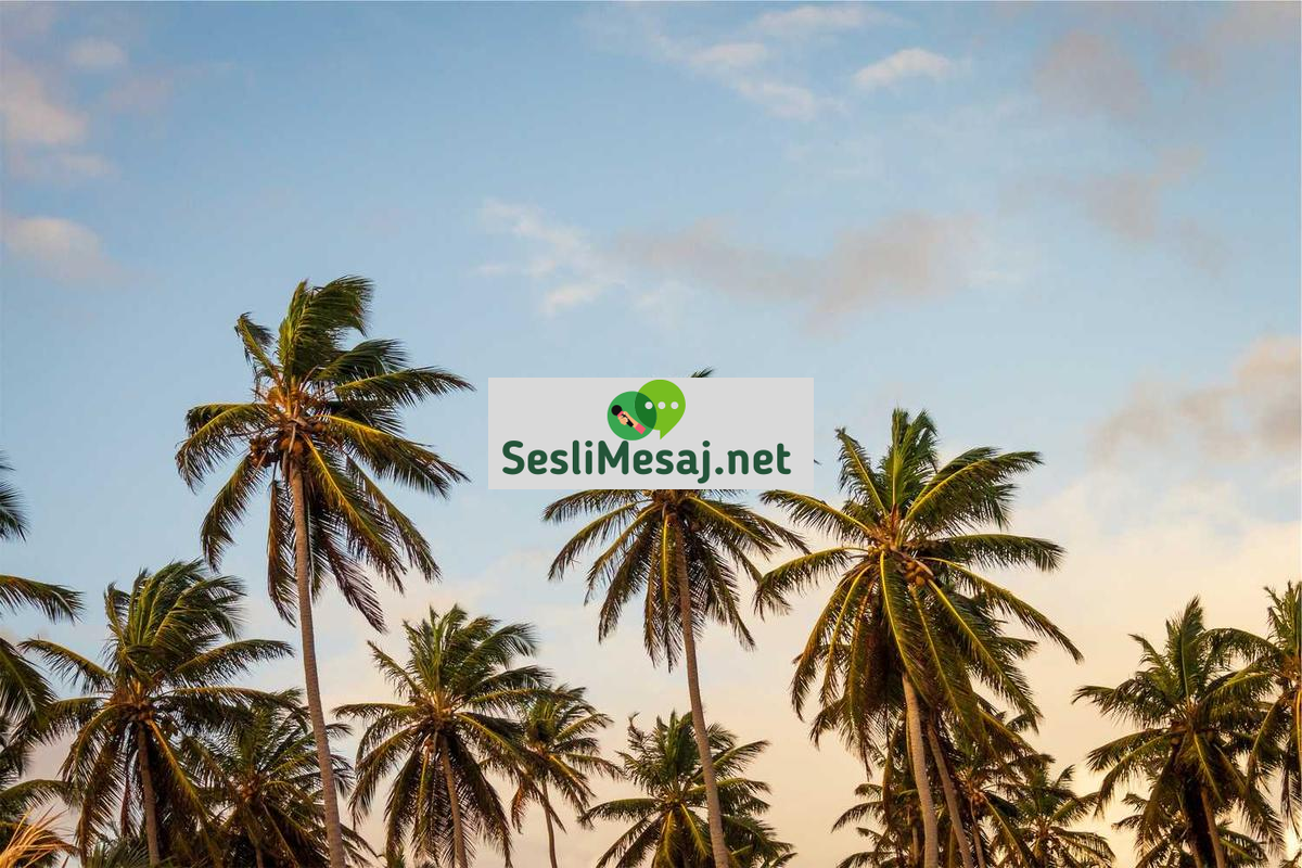 Mobil Aşk Chat: Cep Telefonunda Romantik Bağlantı