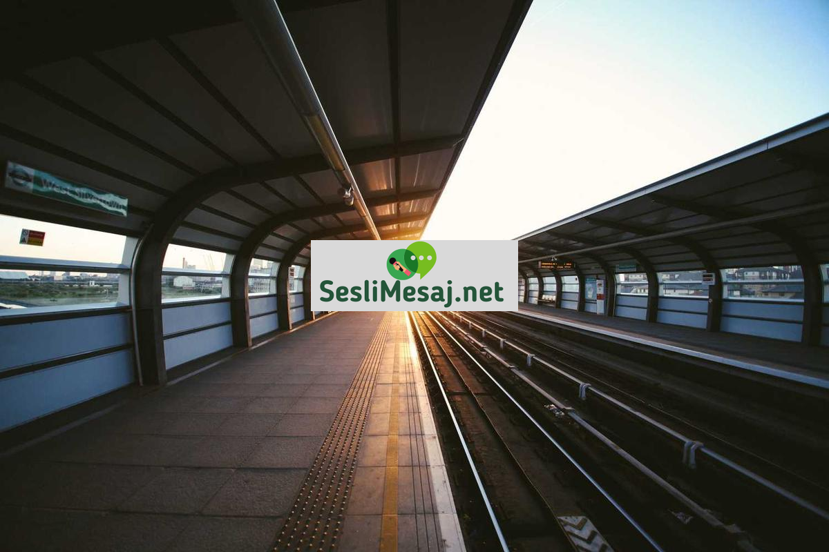 Mobil Sohbet Odası Aç: Kendi Topluluğunuzu Kurma