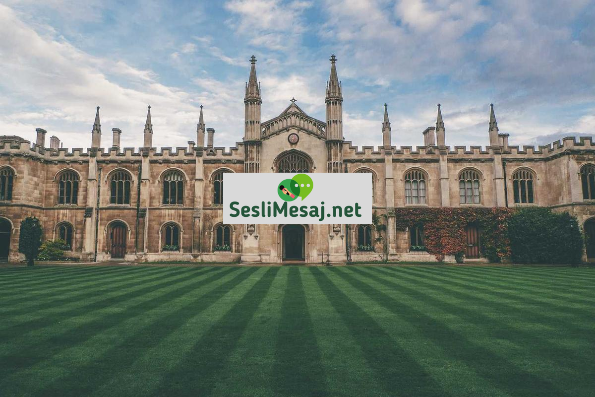 Müzik Prodüksiyonunda Mastering Teknikleri Sohbeti: Ses