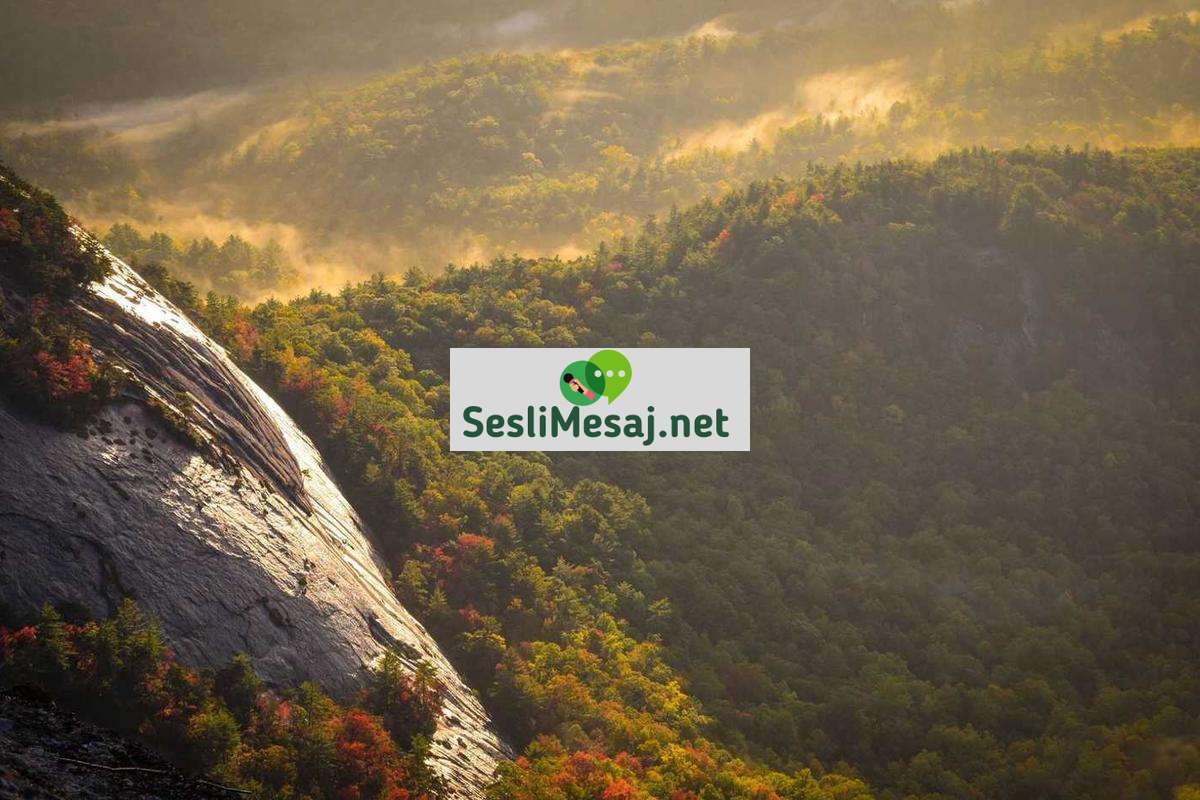 Müzik Prodüksiyonunda Mix ve Mastering Farkı Sohbeti: Ses