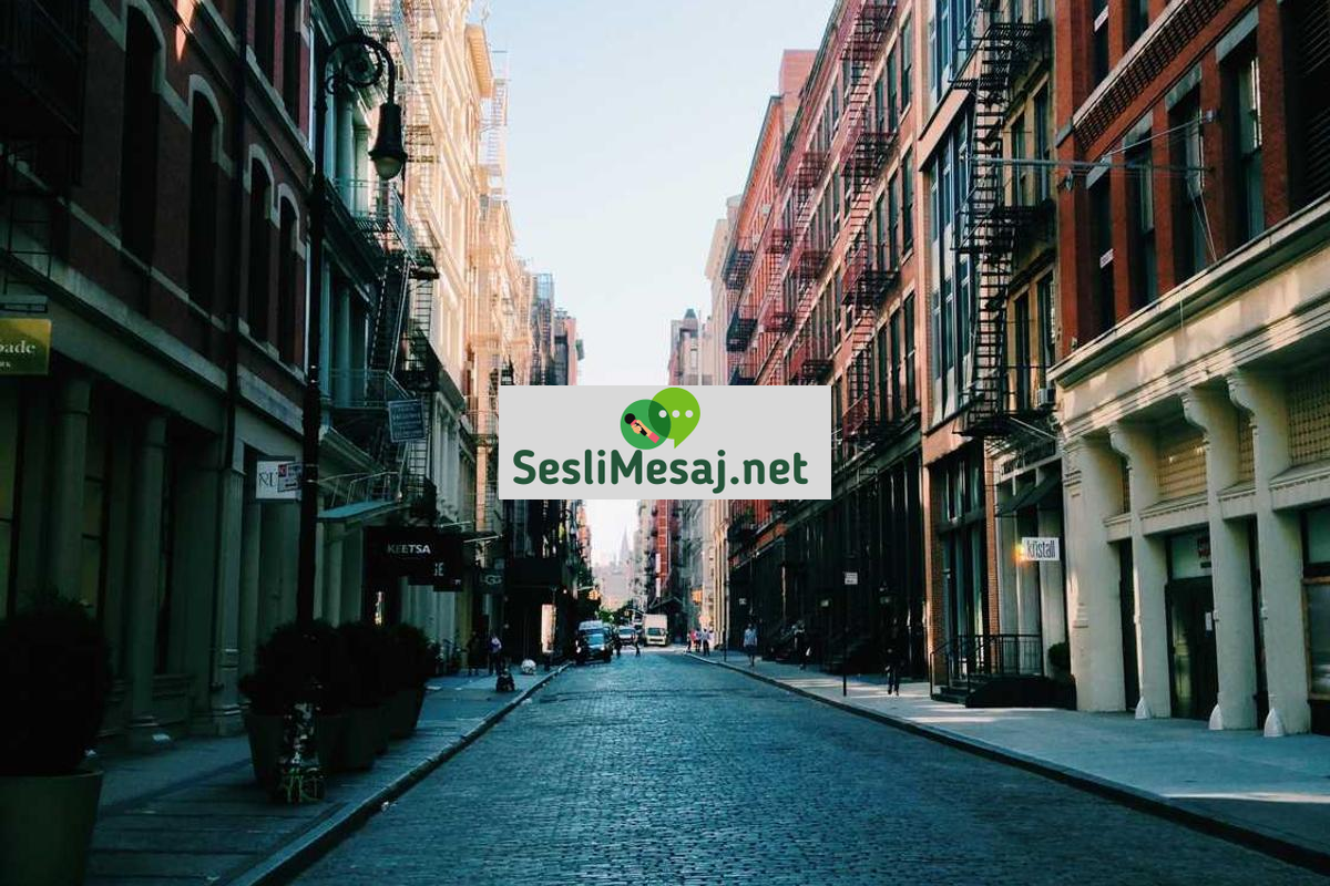 NFT Pazarlama Stratejileri Sohbeti: Başarılı Projeler