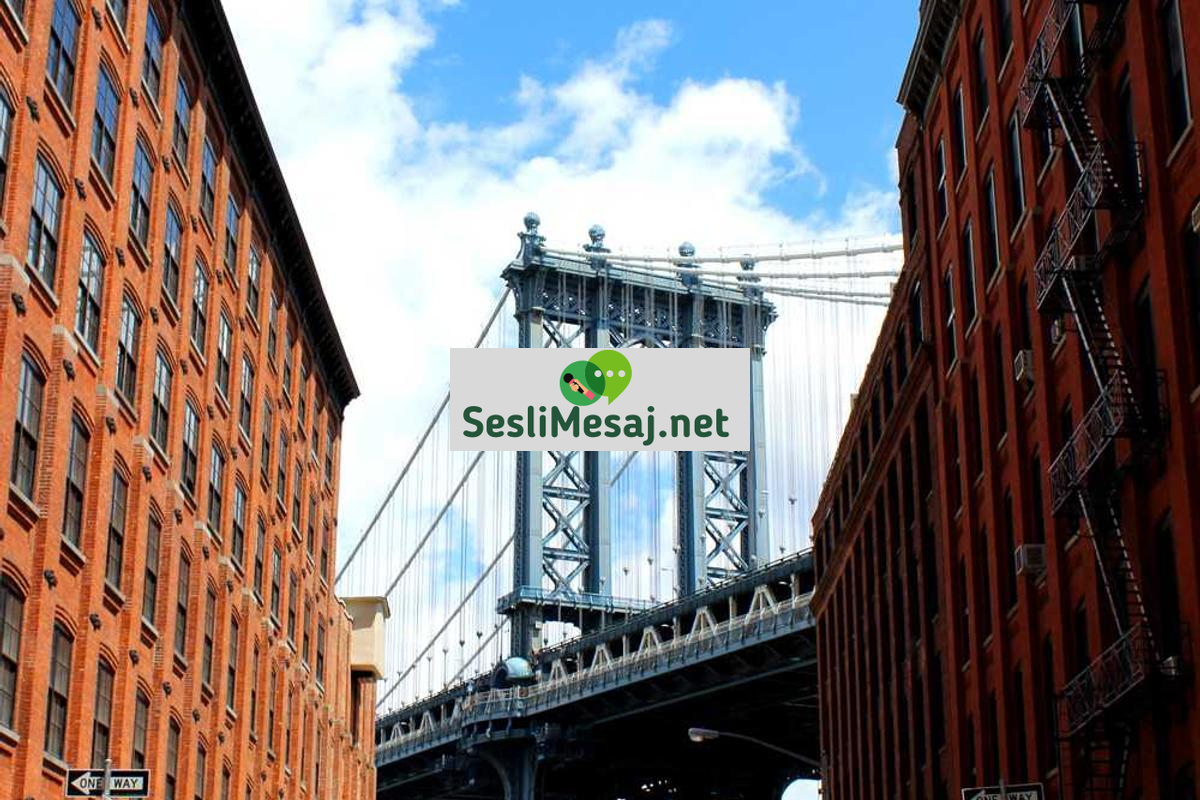 NFT Sanat Piyasası Sohbeti: Dijital Koleksiyonculuk Trendleri