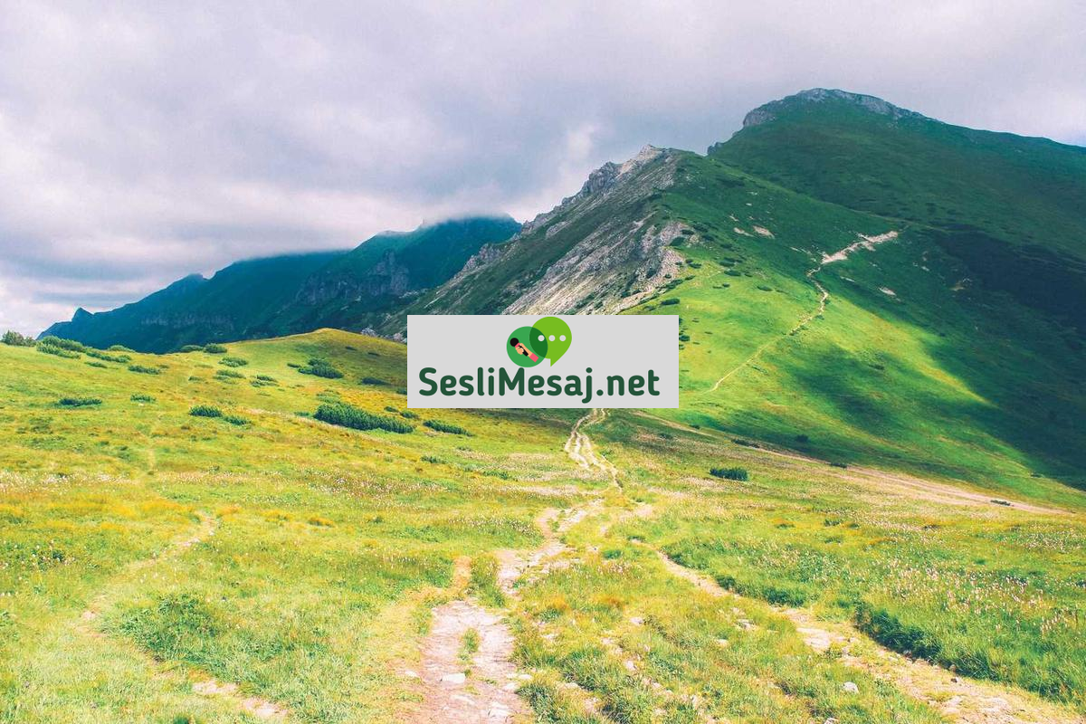 NFT Sanatı ve Dijital Koleksiyonculuk Sohbeti: Trendler