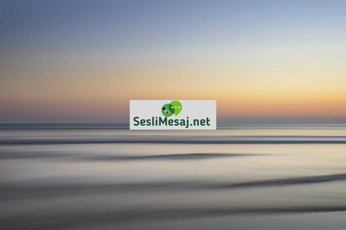 NFT Sanatı ve Dijital Koleksiyonculuk Sohbeti: Trendler