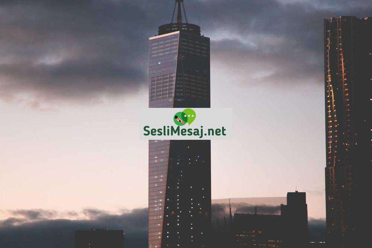 NFT Sanatı ve Dijital Koleksiyonculuk Sohbeti: Trendler